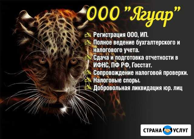 Бухгалтерские услуги Брянск - изображение 1