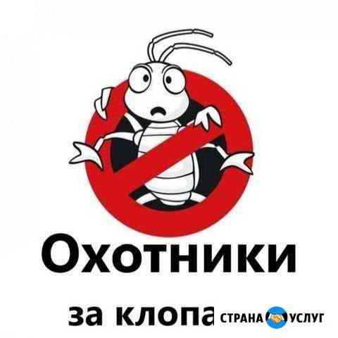 Уничтожение постельных клопов Новосибирск