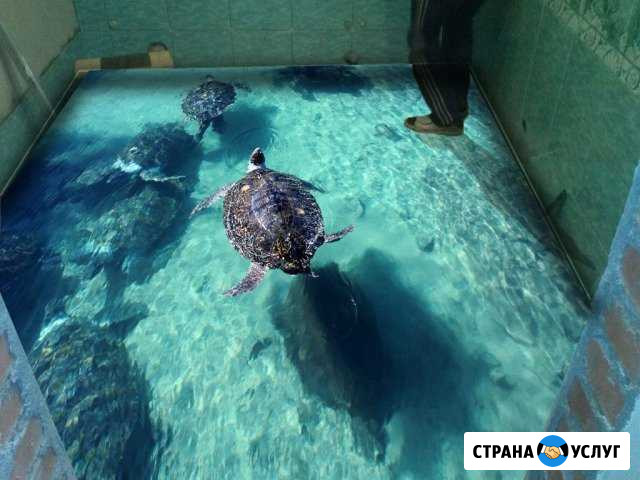3д полы и стены во Владимире и Владимирской област Ковров - изображение 1