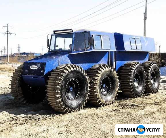 Вездеходы болотохода Тром-8, Хищник, Трэкол, Витяз Ярково - изображение 1
