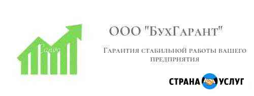 Профессиональное ведение бухучета ооо, ип акция Череповец