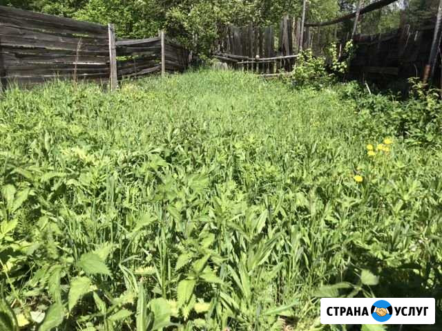 Покос травы, вырубка кустарников, разбор зданий Архангельск - изображение 1
