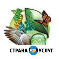 Биология егэ Киров - изображение 1