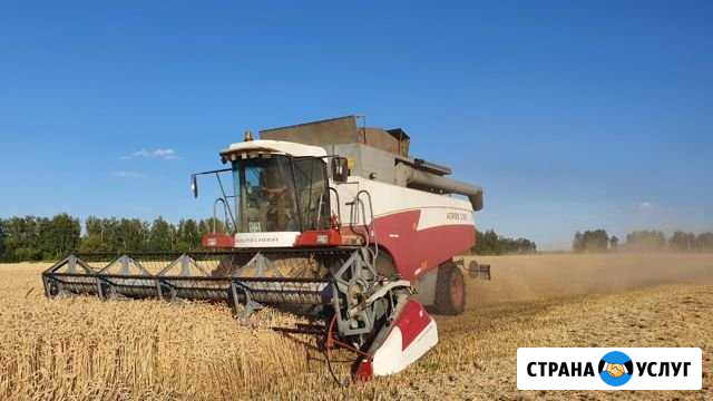 Уборка урожая Сатинка - изображение 1