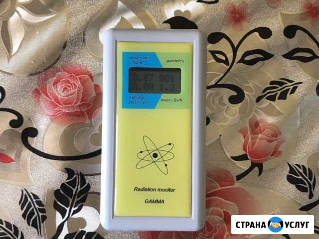 Дозиметр Gamma в аренду Брянск - изображение 1