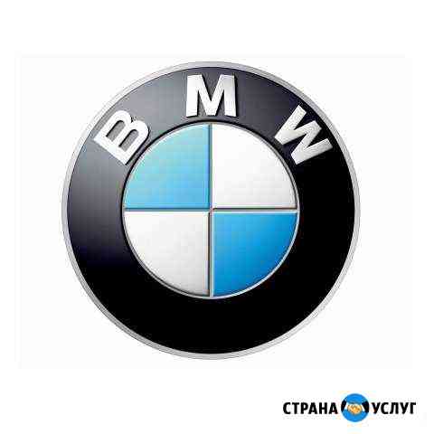 Диагностика BMW, возможен выезд Вязьма