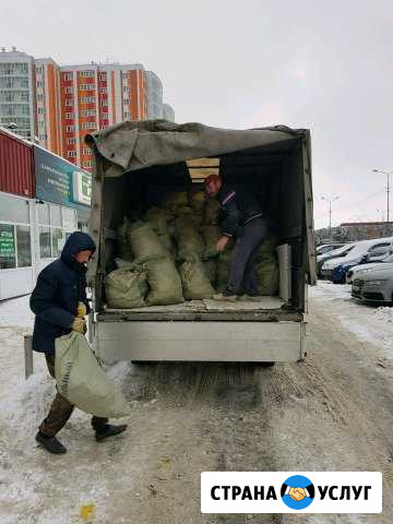Вывоз мусора с грузчиками Сургут - изображение 1