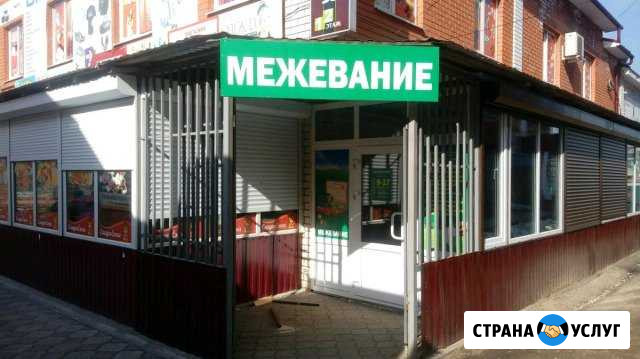 Межевание Владимир - изображение 1