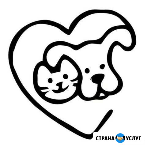 Передержка кошек и собак Волгоград - изображение 1