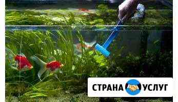 Обслуживание аквариума Санкт-Петербург