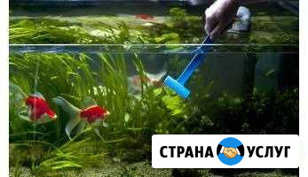 Обслуживание аквариума Санкт-Петербург - изображение 1