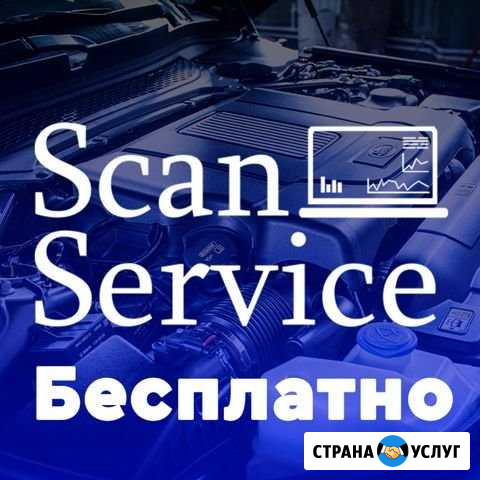 Удаление катализатора бесплатно Чип тюнинг Челябинск - изображение 1