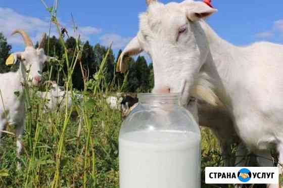Козье Молоко Чебоксары