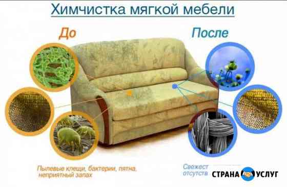 Чистка мягкой мебели у вас дома Новосибирск