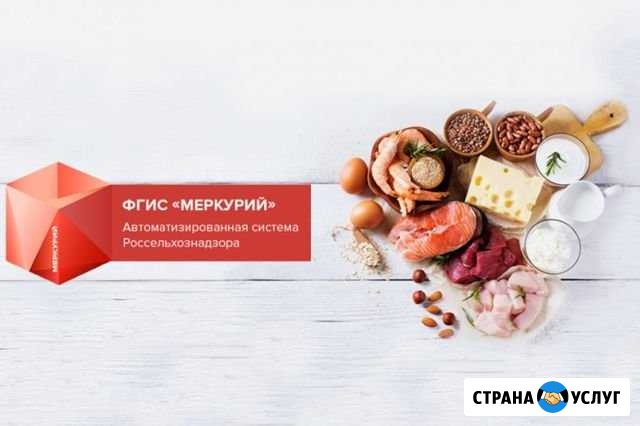 Фгис Меркурий для ип/ооо Севастополь - изображение 1