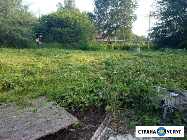 Ремонт Хабаровск - изображение 1