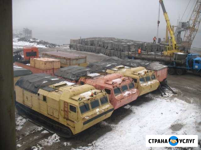 Перевозки вездеходами Витязь дт 30 Новый Уренгой - изображение 1