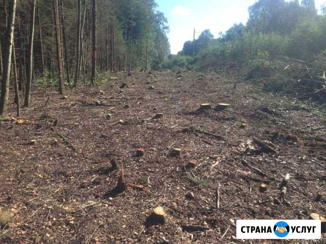 Спил деревьев и поросли на участке Отрадный - изображение 1
