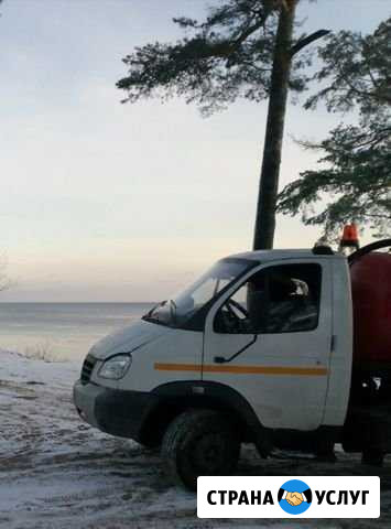 Ассенизаторские услуги, откачка септиков Всеволожск - изображение 1