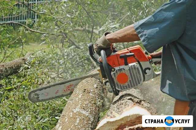 Разнорабочий. Пустошка. гатчинский район Новый Свет - изображение 1