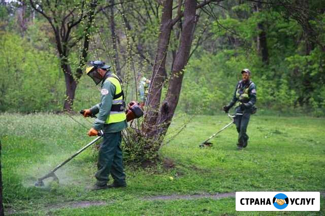 Покос травы,спил деревьев,демонтаж строений Волоколамск - изображение 1
