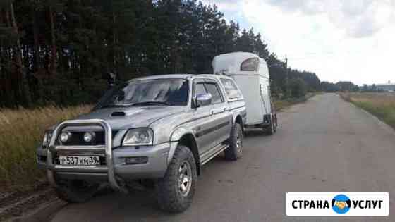 Конеперевозки (коневоз ) Калининград