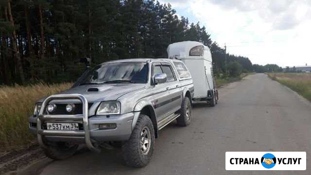 Конеперевозки (коневоз ) Калининград - изображение 1