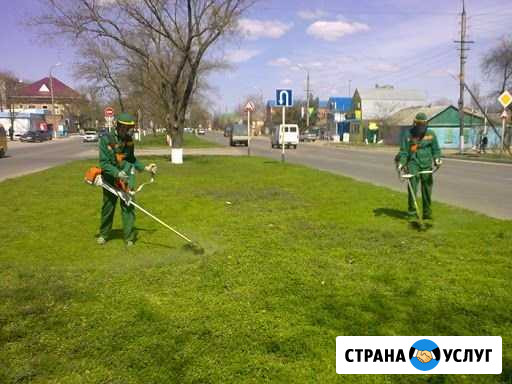 Покос травы. Очистка от дкр Петрозаводск - изображение 1