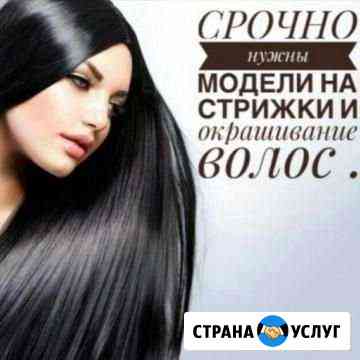 Модели на стрижку бесплатно Саратов