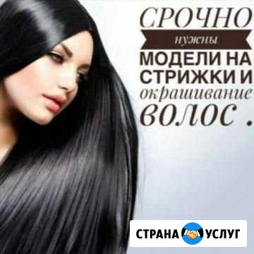 Модели на стрижку бесплатно Саратов - изображение 1