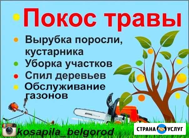 Покос Травы. Спил Деревьев. Уборка Участка Белгород - изображение 1