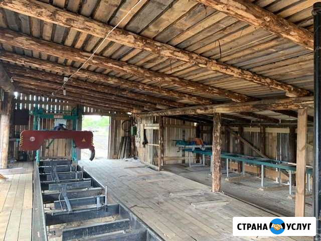 Пилорама в аренду Ветлуга - изображение 1