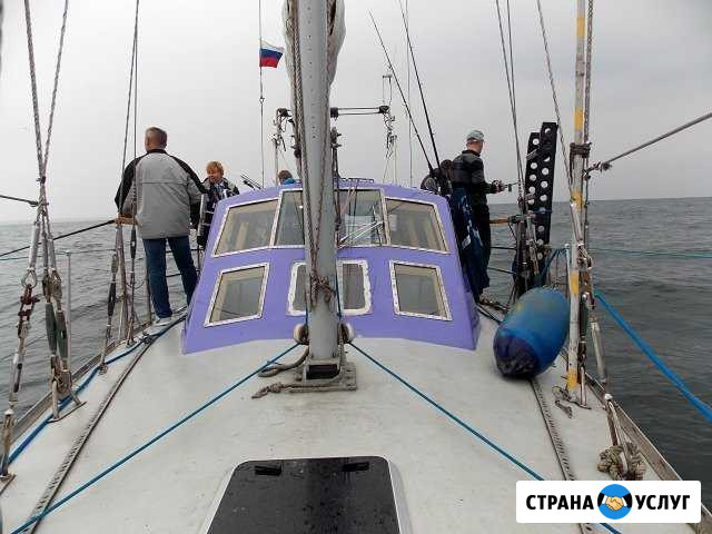 Морская рыбалка в калининграде Балтийск - изображение 1