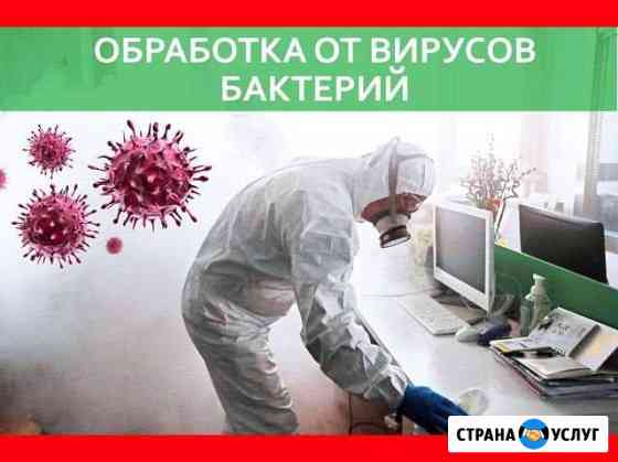 Дезинфекция от вирусов обработка Челябинск