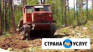 Услуги лесозаготовки Красноярск