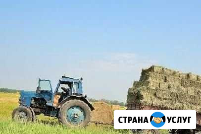 Продам сено,рулоны и кипы Фурманов - изображение 1