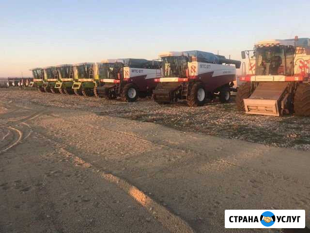 Уборка урожая зерноуборочными комбайнами Тимашевск - изображение 1