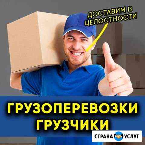 Трезвые Грузчики / Грузоперевозки в Мурманске Мурманск