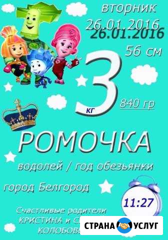Метрика Стрелецкое - изображение 1