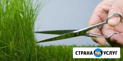 Покос травы Каневская - изображение 1