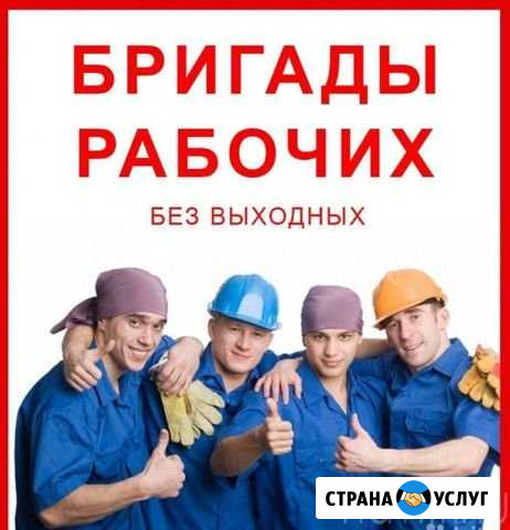 Демонтаж. Копка земли. Разнорабочие Новосибирск - изображение 1