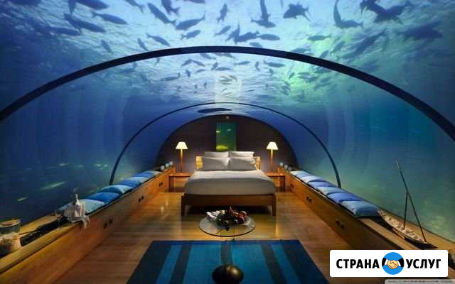 Обслуживание, чистка аквариума Красноярск - изображение 1