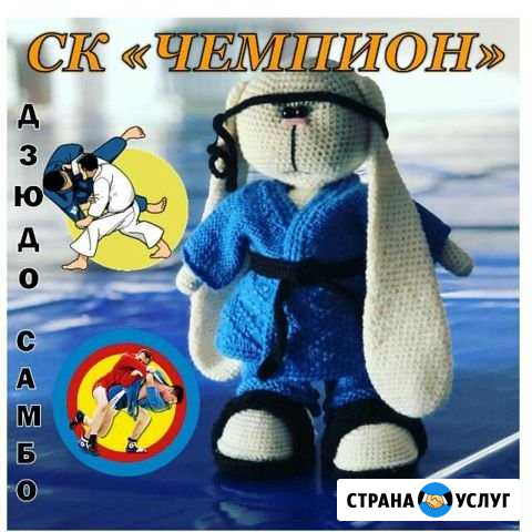 Дзюдо/самбо Невинномысск - изображение 1