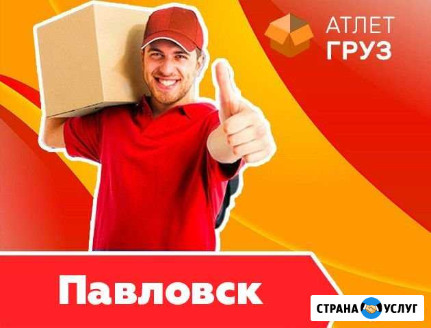 Вывоз мусора - Грузчики - Грузоперевозки - Переезд Павловск - изображение 1
