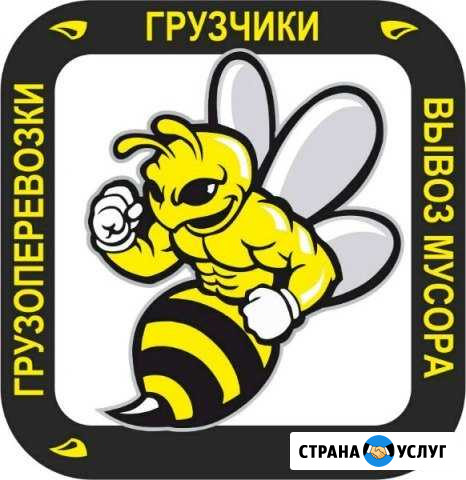 Грузчики,грузоперевозки, разнорабочие,вывоз мусора Череповец - изображение 1