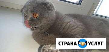 Вязка Воронеж - изображение 1