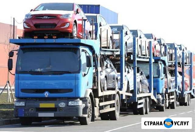 Возьму Попутный груз на Автовоз-Борт-Тент-Трал до Чита - изображение 1