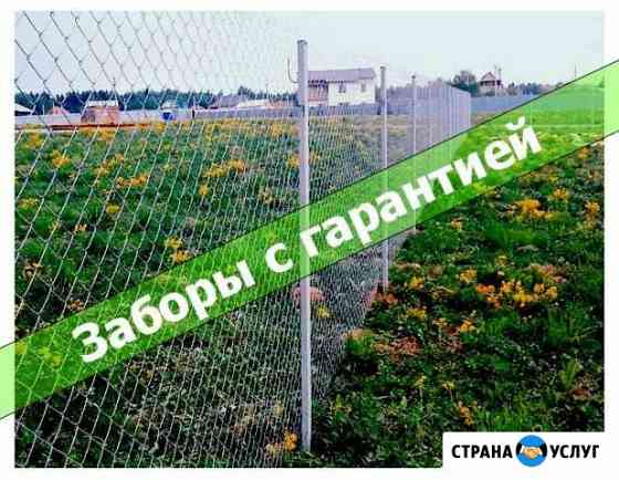 Забор Калининград