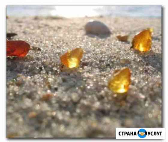Экскурсии Калининград
