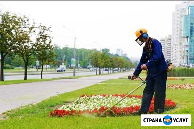 Благоустройства сада и земельных участков Орёл - изображение 1